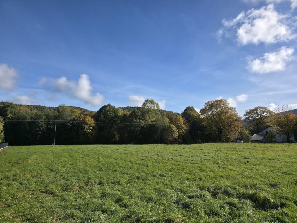 Działka budowlano-usługowa w Rzykach! - zdjęcie 5