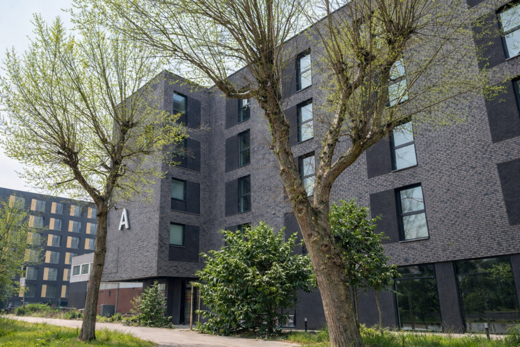 NOWE | OGRÓD 70 m² | HOME OFFICE | KRZYKI WROCŁAW - zdjęcie 9