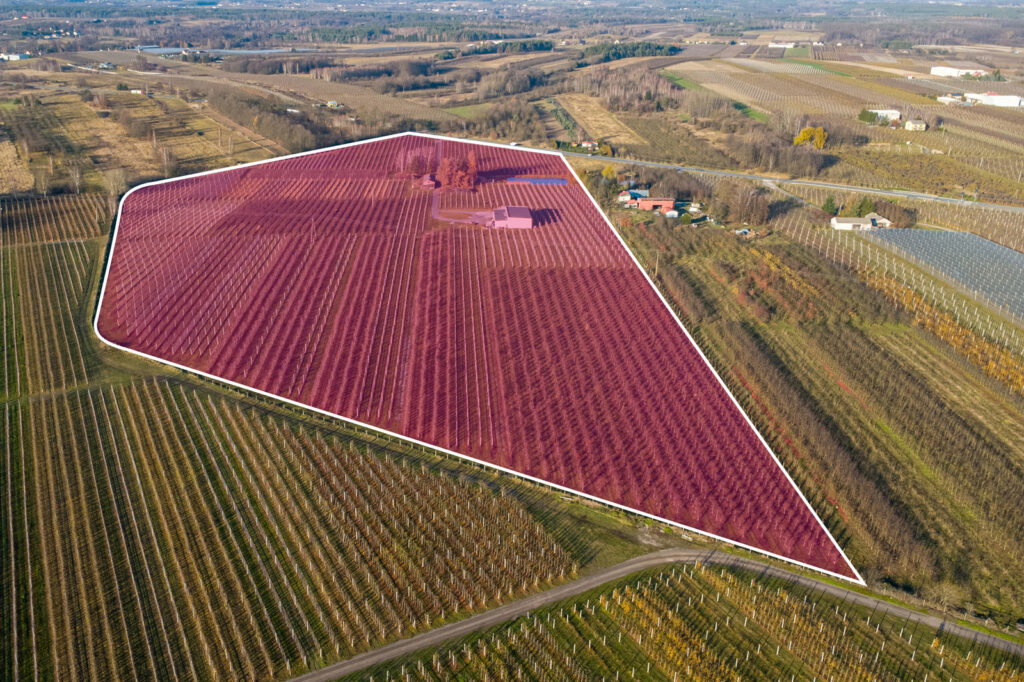 11 ha w Bikówku powiat grójecki - zdjęcie 1