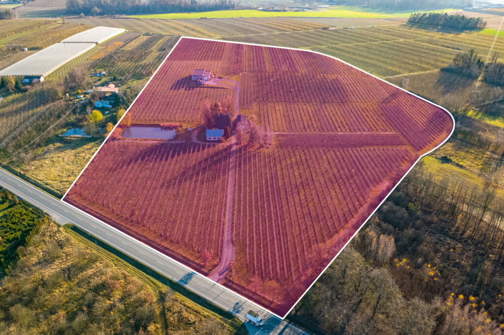 11 ha w Bikówku powiat grójecki - zdjęcie 2