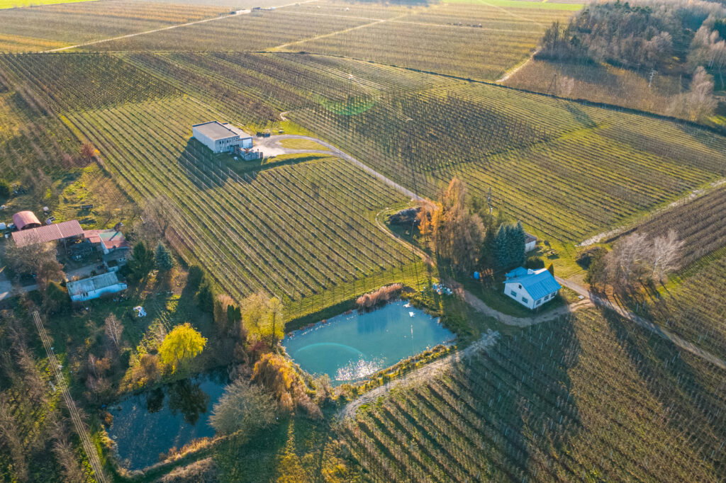 11 ha w Bikówku powiat grójecki - zdjęcie 3