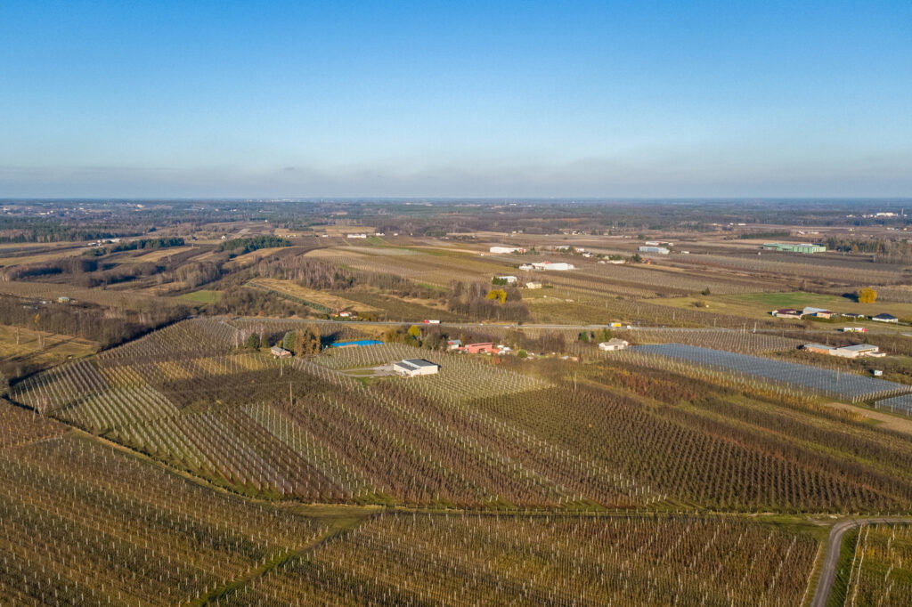 11 ha w Bikówku powiat grójecki - zdjęcie 4