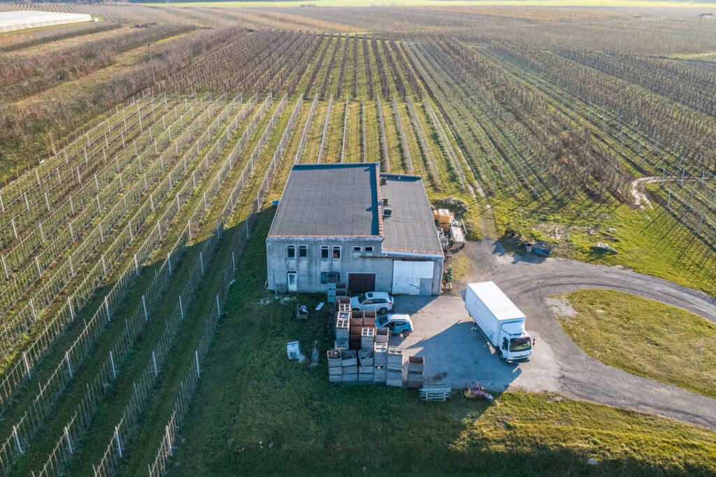 11 ha w Bikówku powiat grójecki - zdjęcie 5