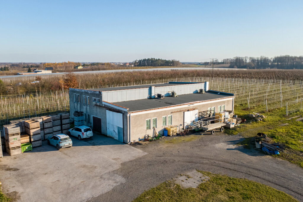 11 ha w Bikówku powiat grójecki - zdjęcie 8
