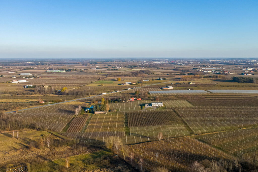 11 ha w Bikówku powiat grójecki - zdjęcie 9
