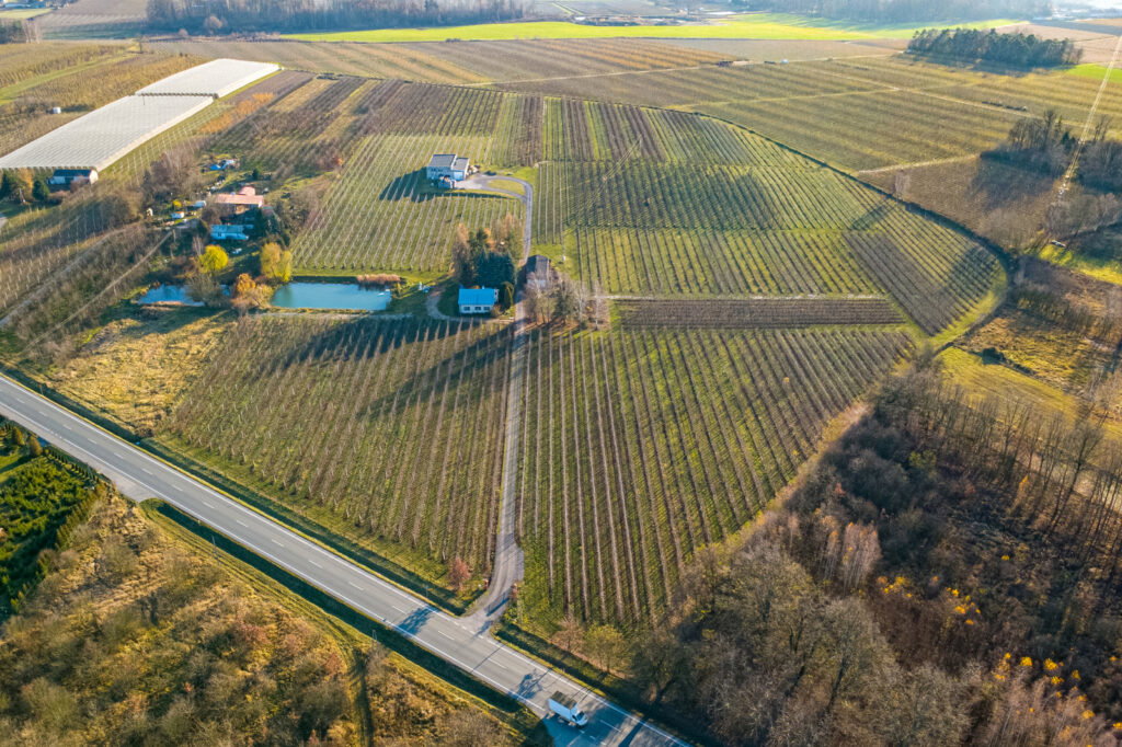 11 ha w Bikówku powiat grójecki - zdjęcie 13