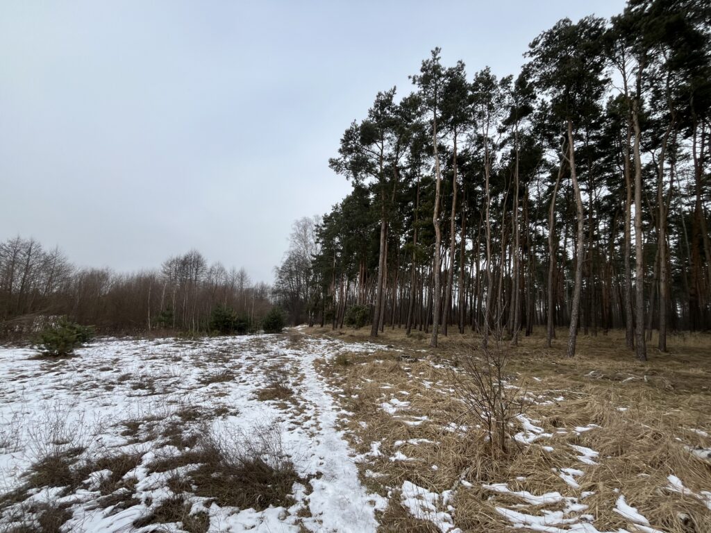 Działka z warunkami zabudowy w Kopaninie - zdjęcie 2