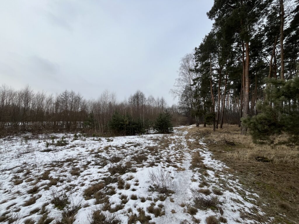 Działka z warunkami zabudowy w Kopaninie - zdjęcie 5