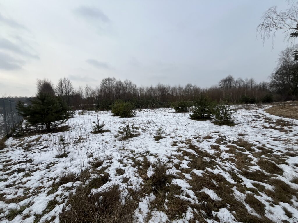 Działka z warunkami zabudowy w Kopaninie - zdjęcie 7