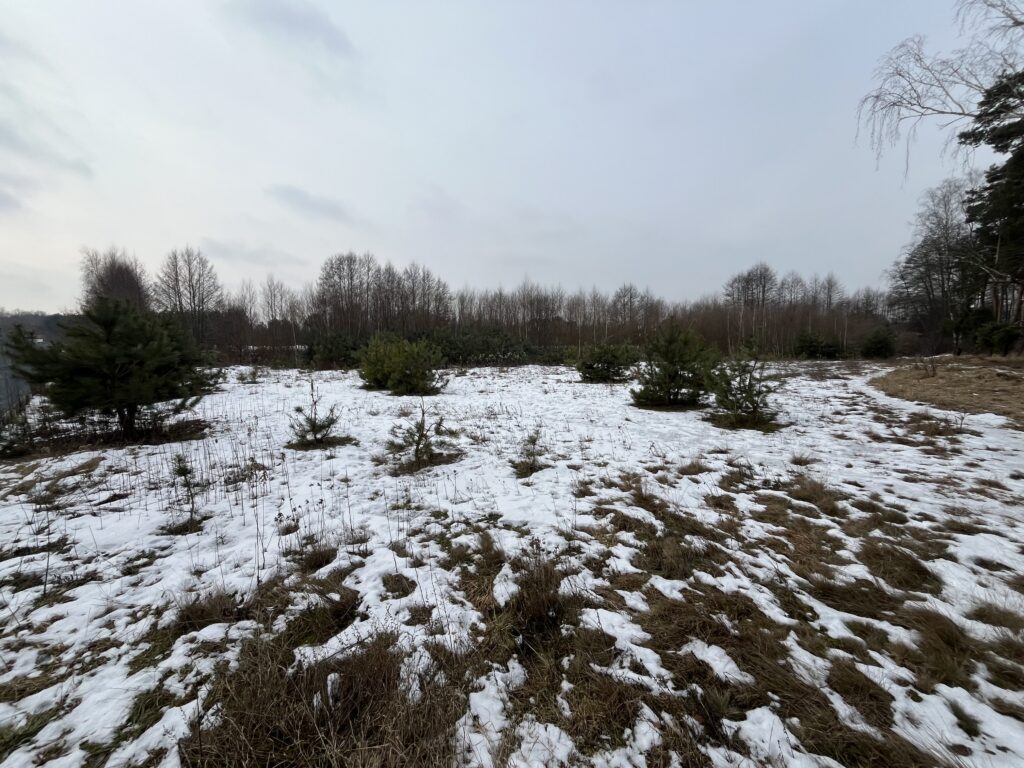 Działka z warunkami zabudowy w Kopaninie - zdjęcie 8