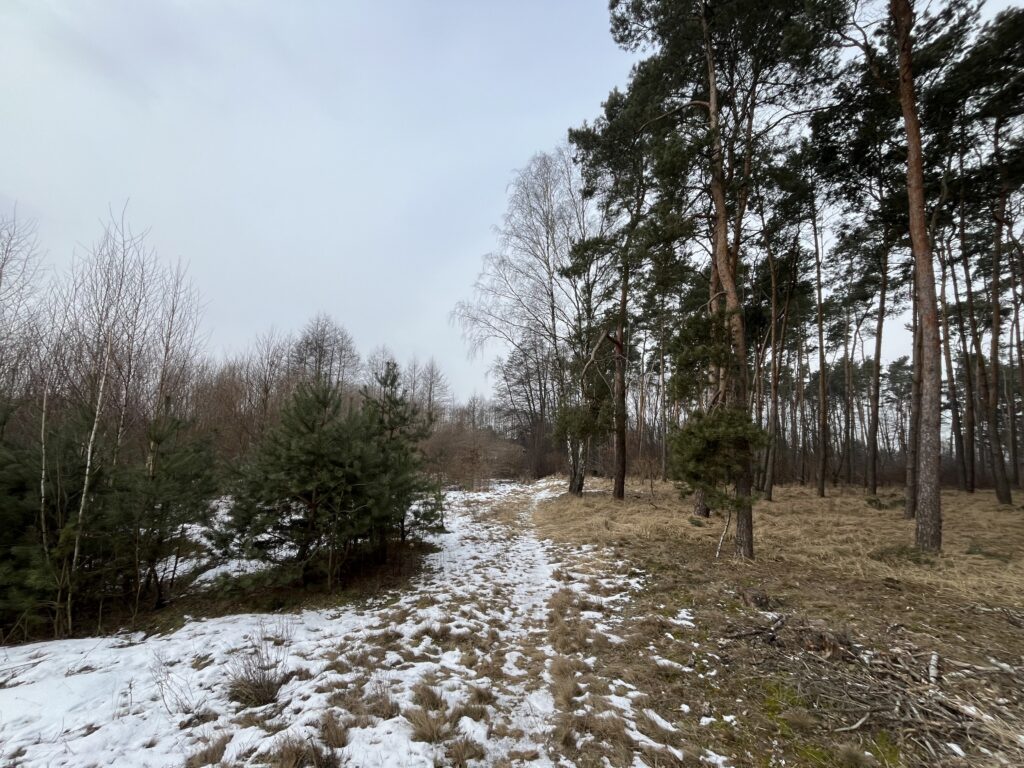 Działka z warunkami zabudowy w Kopaninie - zdjęcie 1