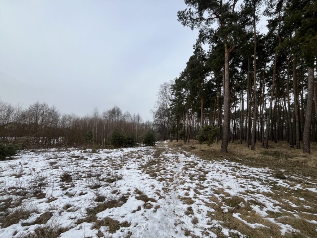Działka z warunkami zabudowy w Kopaninie - zdjęcie 14