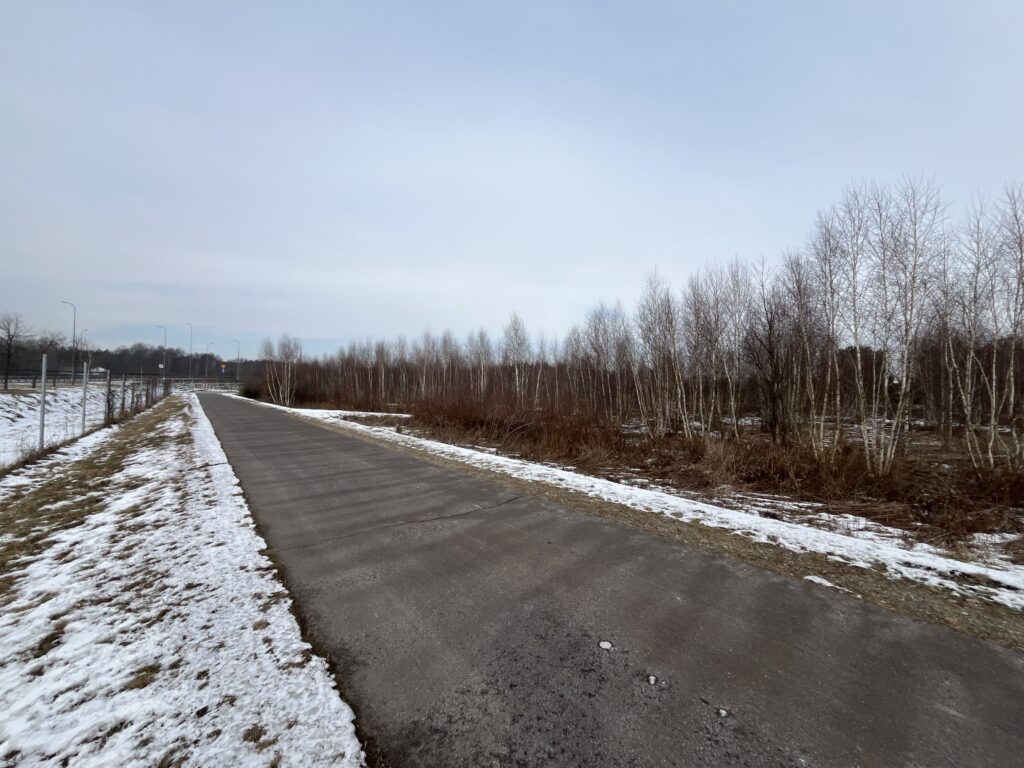 Działka usługowa w Lubiczu Dolnym - zdjęcie 4