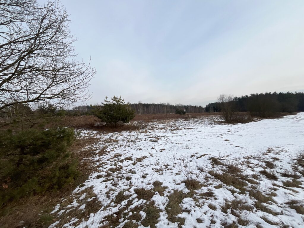 Działka usługowa w Lubiczu Dolnym - zdjęcie 2