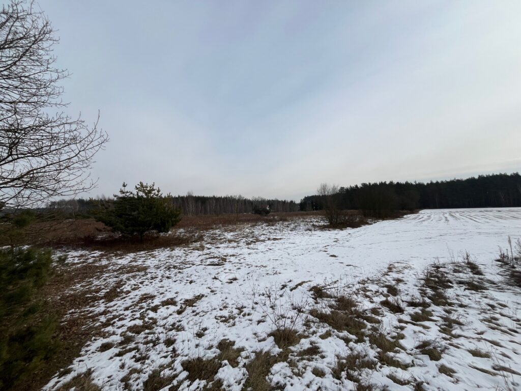 Działka usługowa w Lubiczu Dolnym - zdjęcie 7