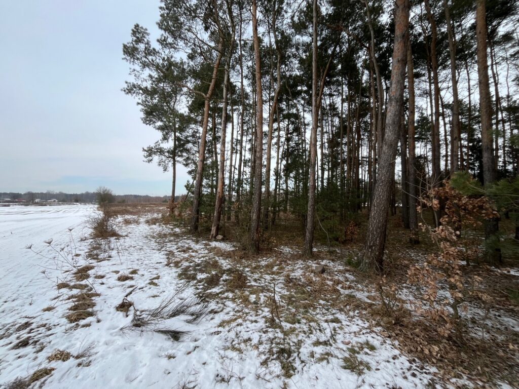 Działka usługowa w Lubiczu Dolnym - zdjęcie 1
