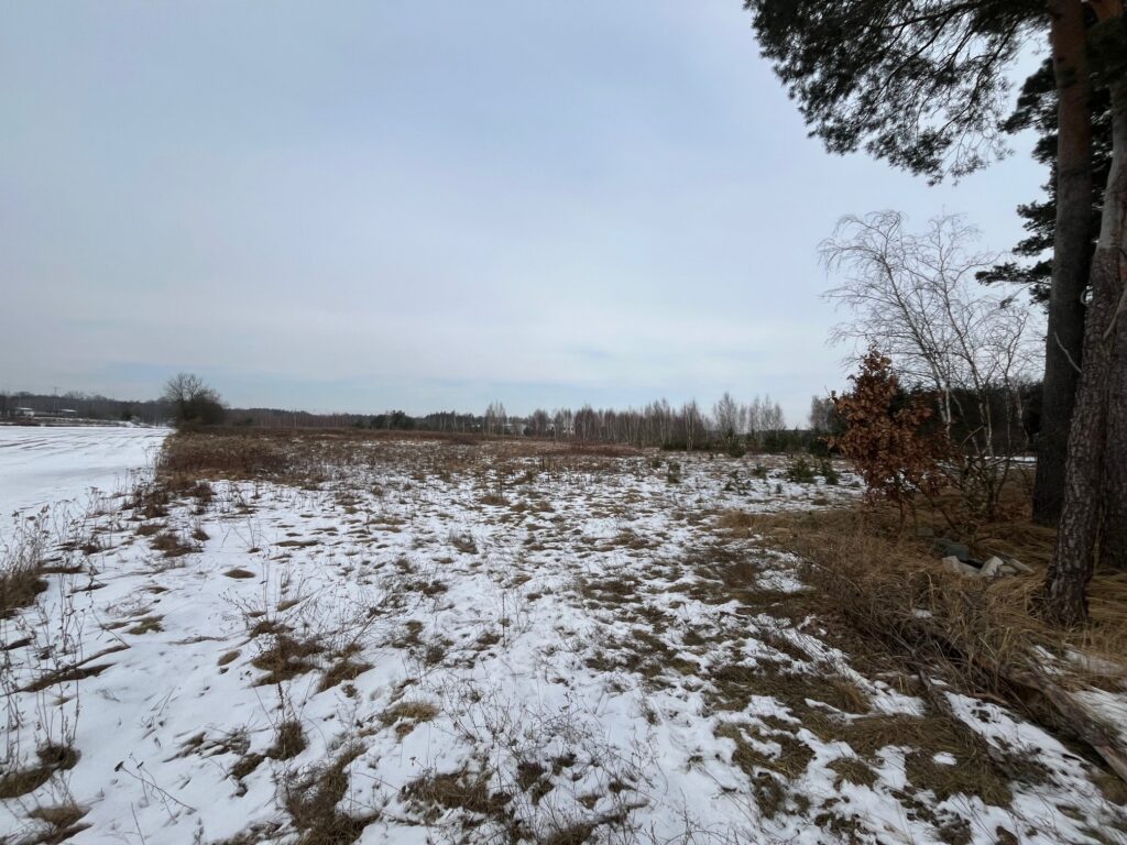 Działka usługowa w Lubiczu Dolnym - zdjęcie 3