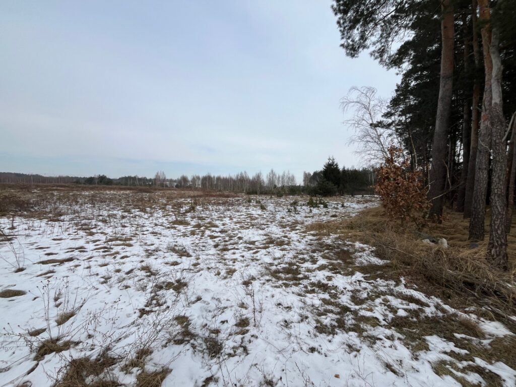 Działka usługowa w Lubiczu Dolnym - zdjęcie 8