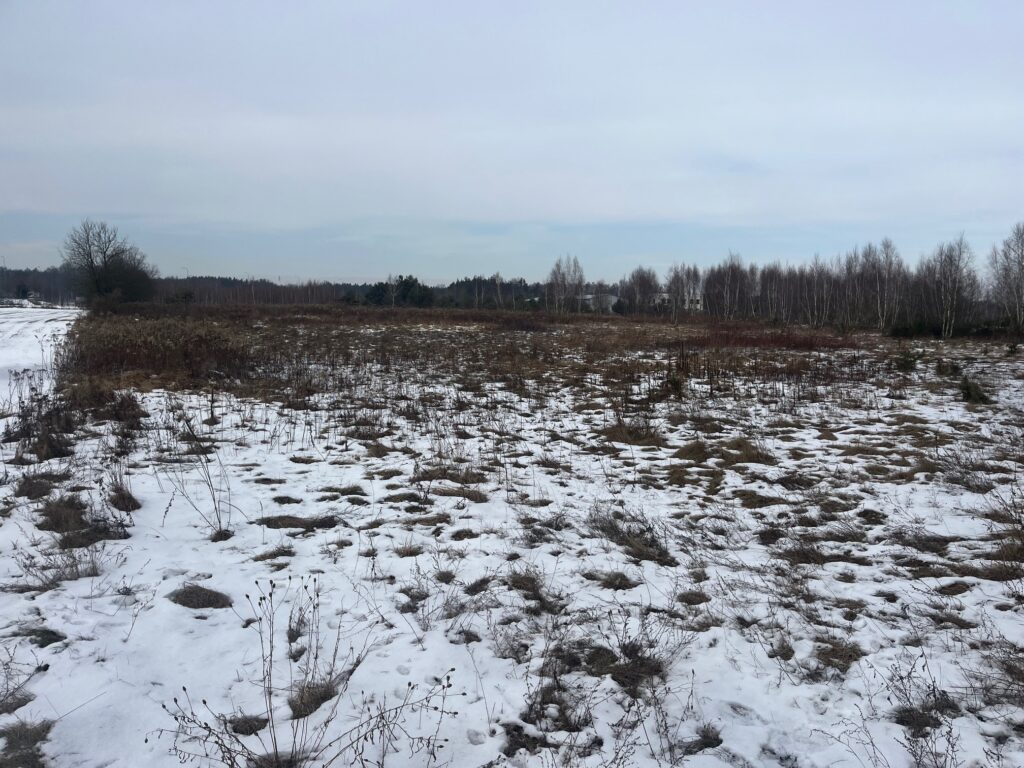 Działka usługowa w Lubiczu Dolnym - zdjęcie 9