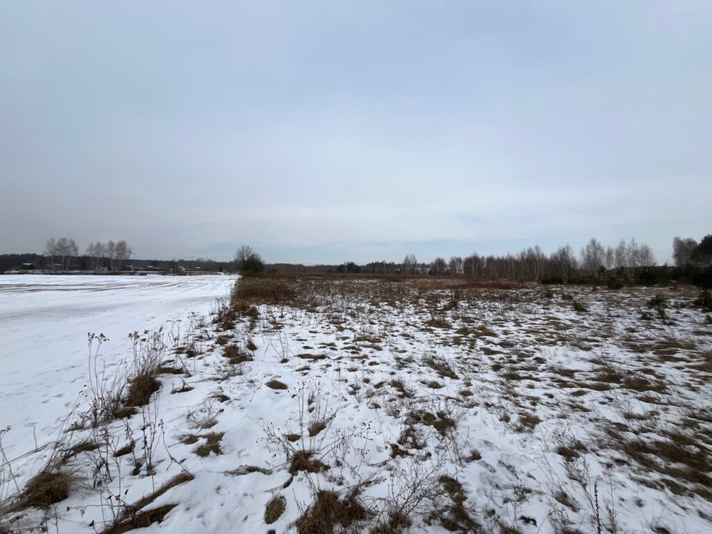 Działka usługowa w Lubiczu Dolnym - zdjęcie 10