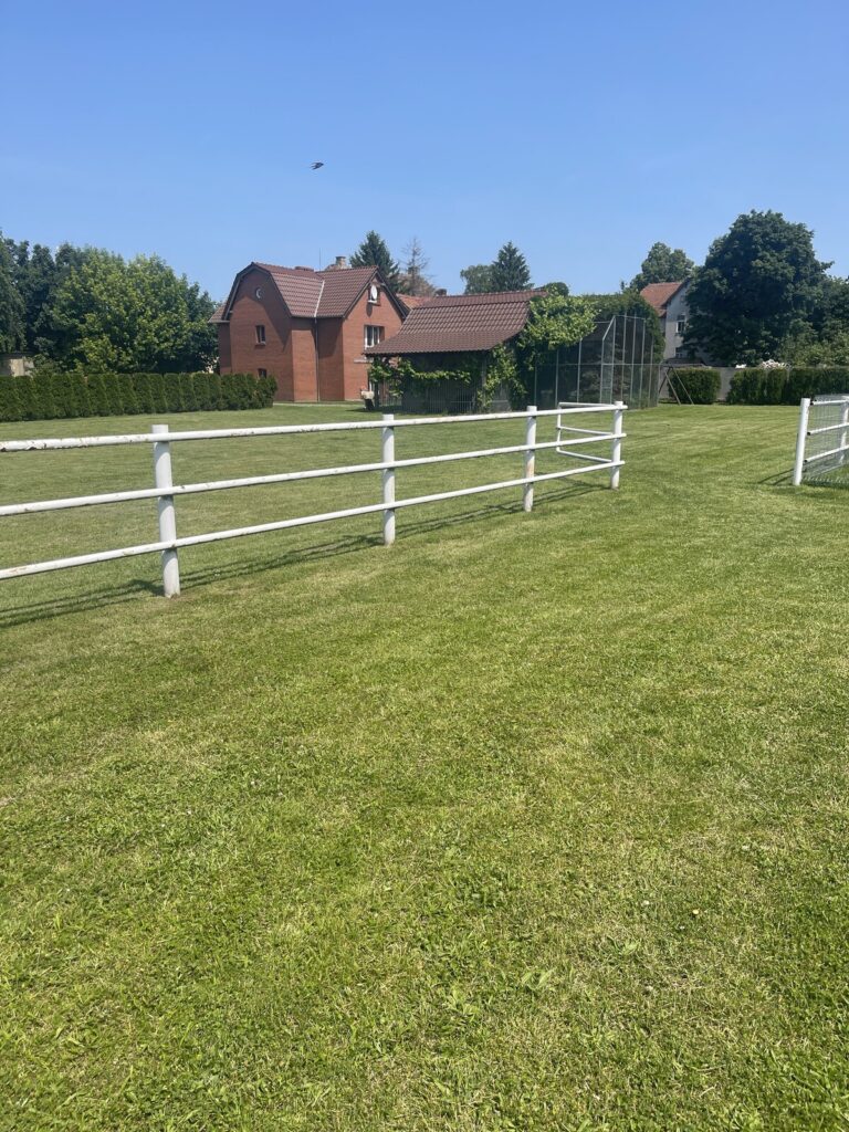 Centrum  6,5 ha Szprotawy / zabudowane/działki - zdjęcie 8