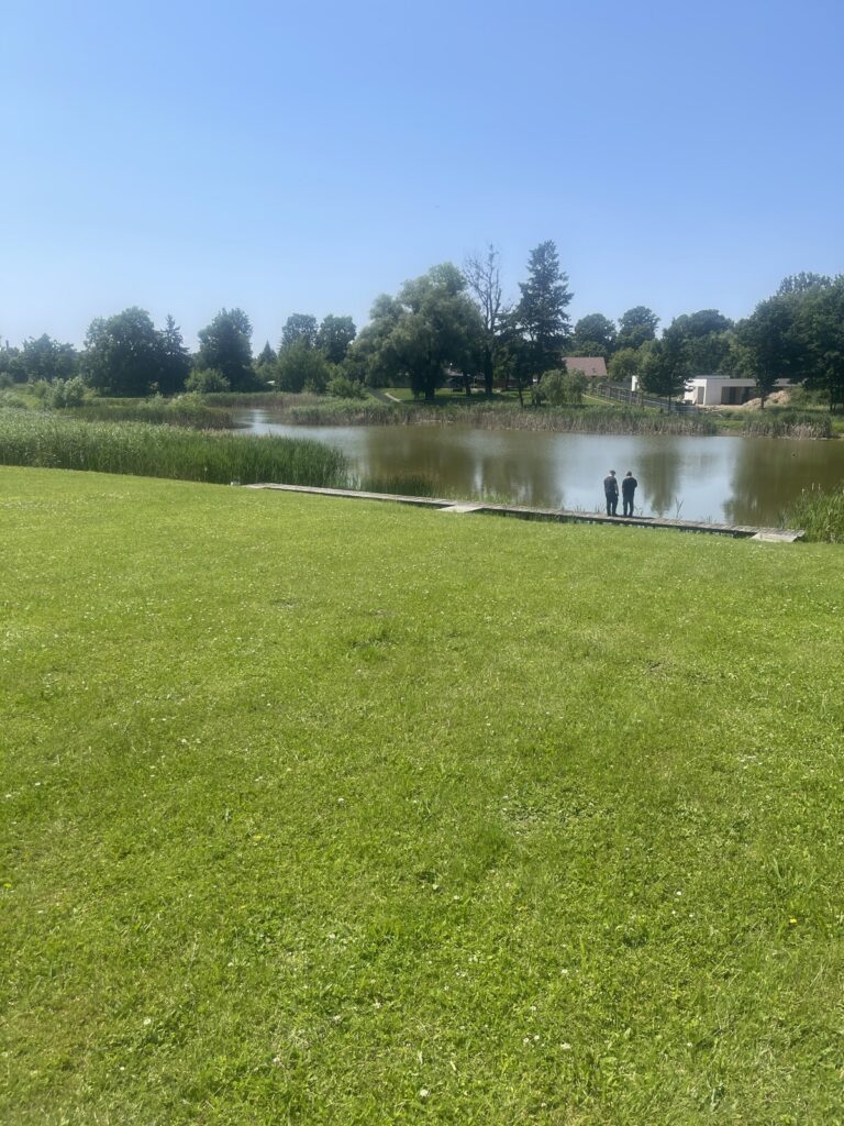 Centrum  6,5 ha Szprotawy / zabudowane/działki - zdjęcie 9