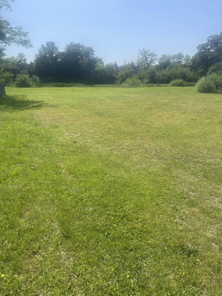 Centrum  6,5 ha Szprotawy / zabudowane/działki - zdjęcie 15