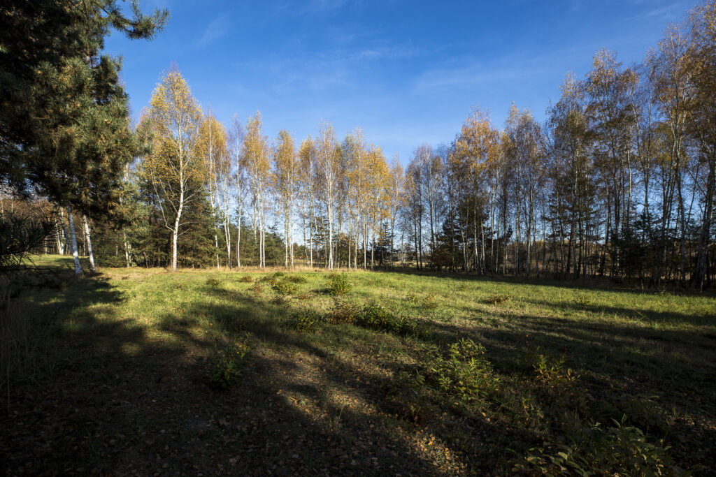 Działka 2883 m² przy lesie – Tarnobrzeg Ocice - zdjęcie 1