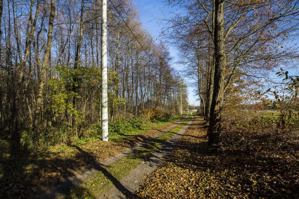 Działka 2883 m² przy lesie – Tarnobrzeg Ocice - zdjęcie 3