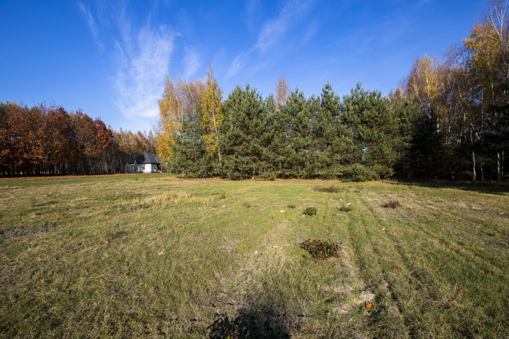 Działka 2883 m² przy lesie – Tarnobrzeg Ocice - zdjęcie 6