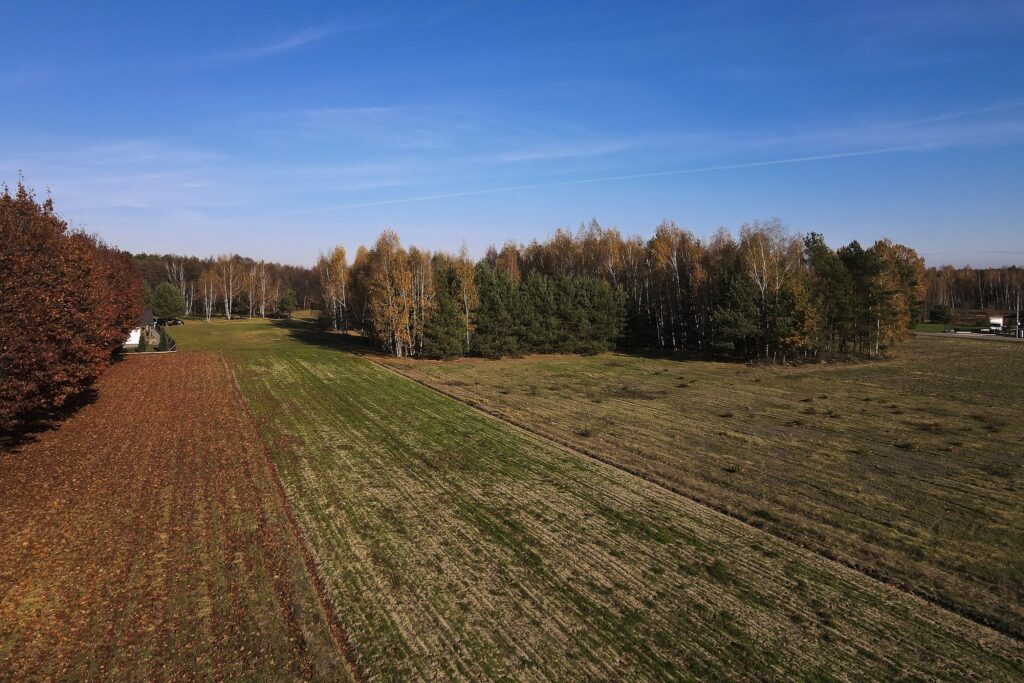 Działka 2883 m² przy lesie – Tarnobrzeg Ocice - zdjęcie 7