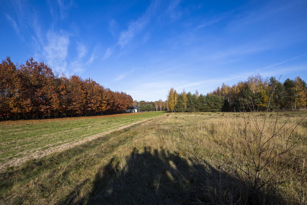 Działka 2883 m² przy lesie – Tarnobrzeg Ocice - zdjęcie 8