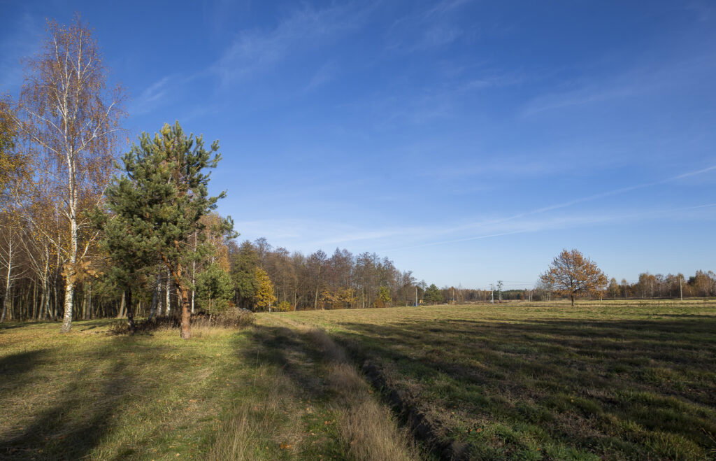 Działka 2883 m² przy lesie – Tarnobrzeg Ocice - zdjęcie 10