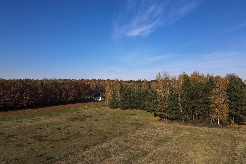 Działka 2883 m² przy lesie – Tarnobrzeg Ocice - zdjęcie 11