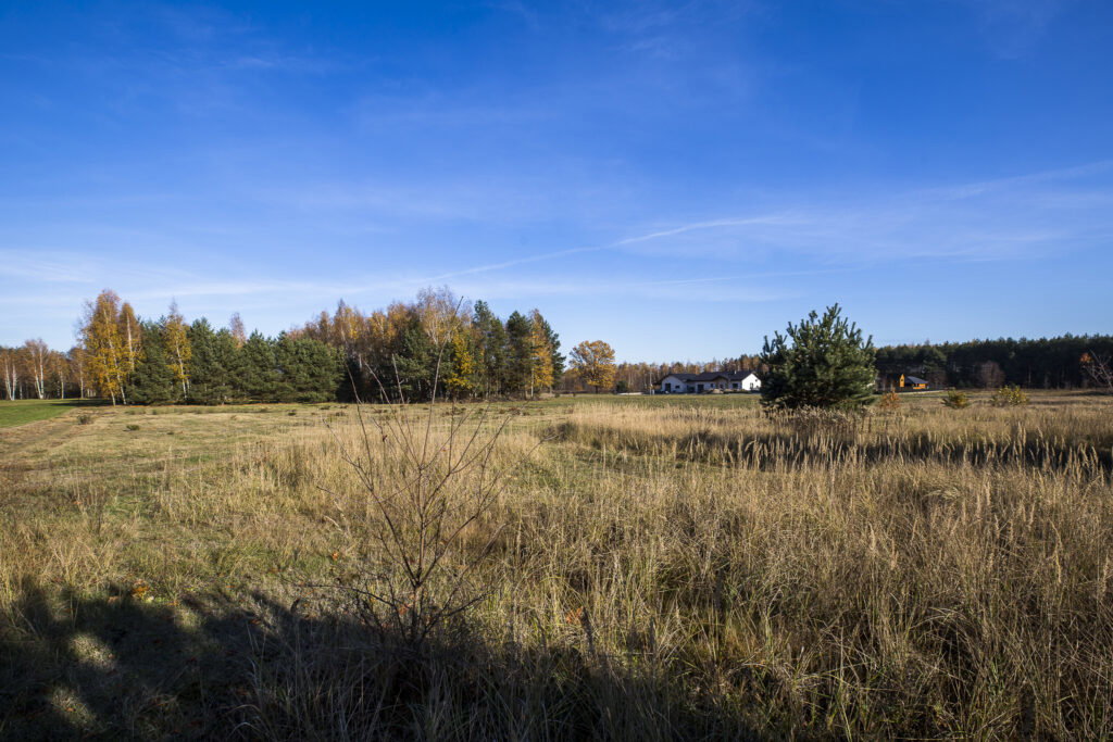 Działka 2883 m² przy lesie – Tarnobrzeg Ocice - zdjęcie 12