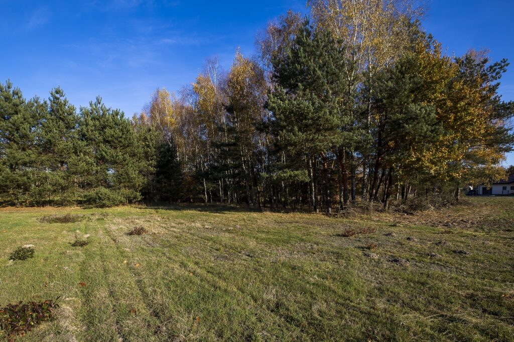 Działka 2883 m² przy lesie – Tarnobrzeg Ocice - zdjęcie 13