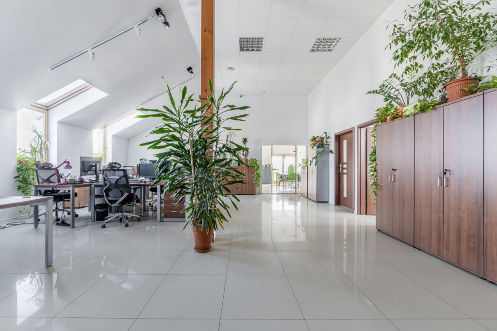 217 mkw biuro – Konstancin Jeziorna - zdjęcie 3