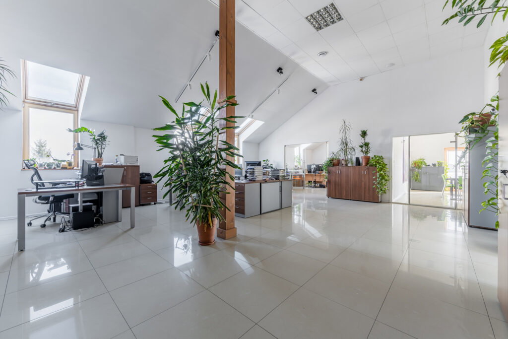 217 mkw biuro – Konstancin Jeziorna - zdjęcie 8