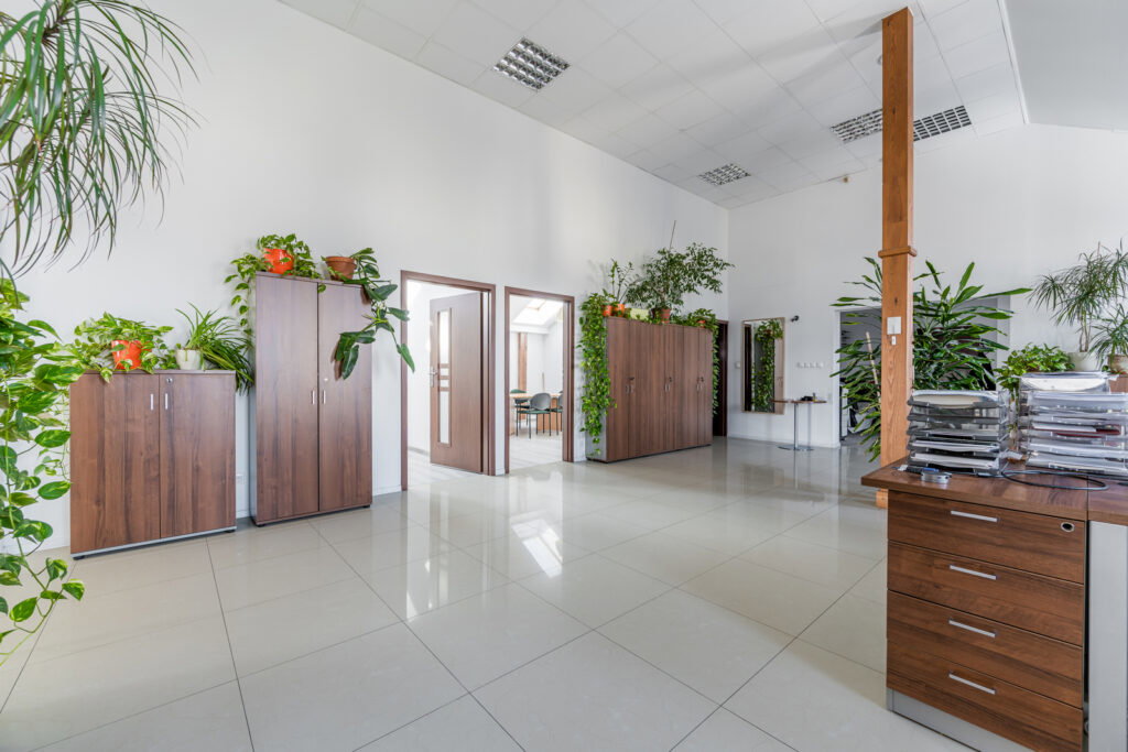 217 mkw biuro – Konstancin Jeziorna - zdjęcie 6