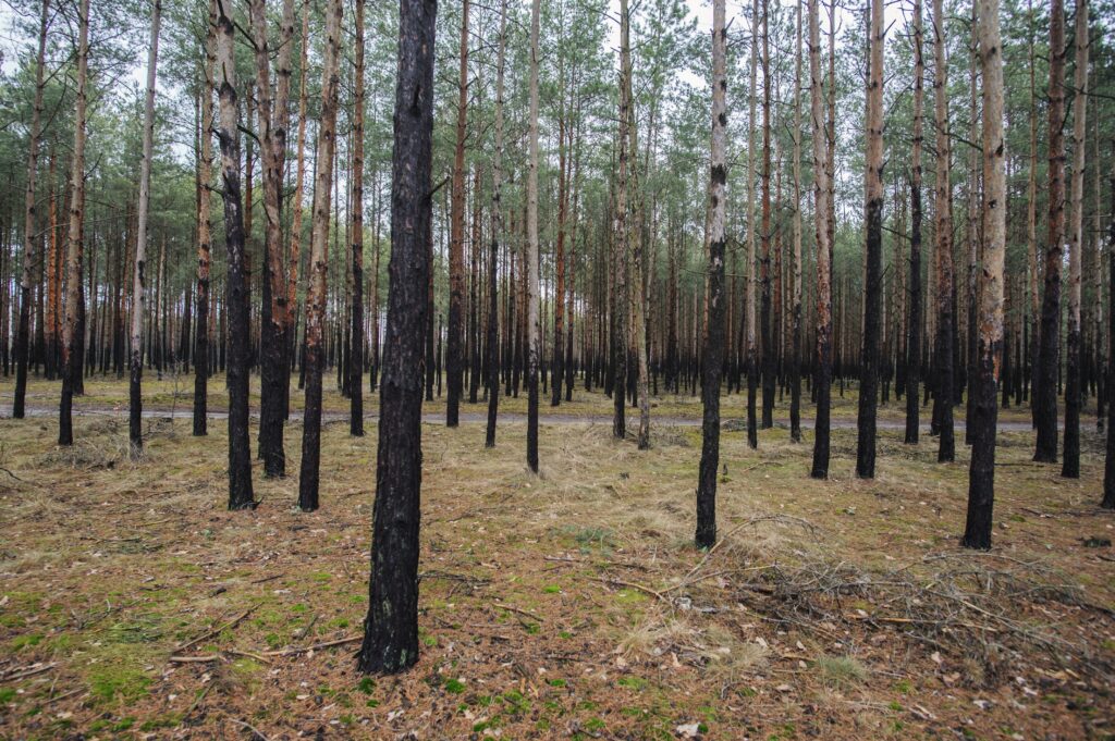 DZIEŃ POKAZOWY sobota 07.03. - zdjęcie 21