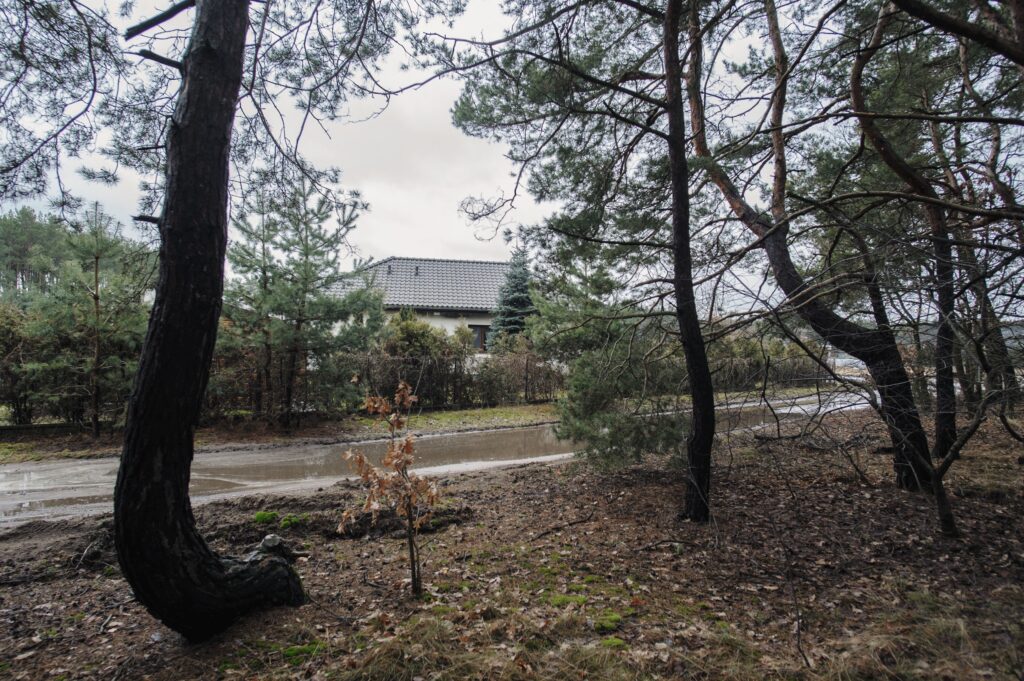 DZIEŃ POKAZOWY sobota 07.03. - zdjęcie 10