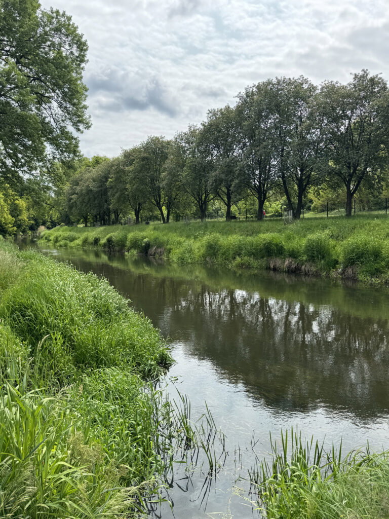 Wyjątkowy dom w Goleniowie | Dzień Otwarty 07.03 - zdjęcie 16