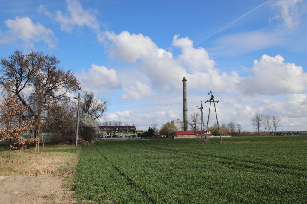 Działka inwestycyjna 7000 m² – usługi. - zdjęcie 2