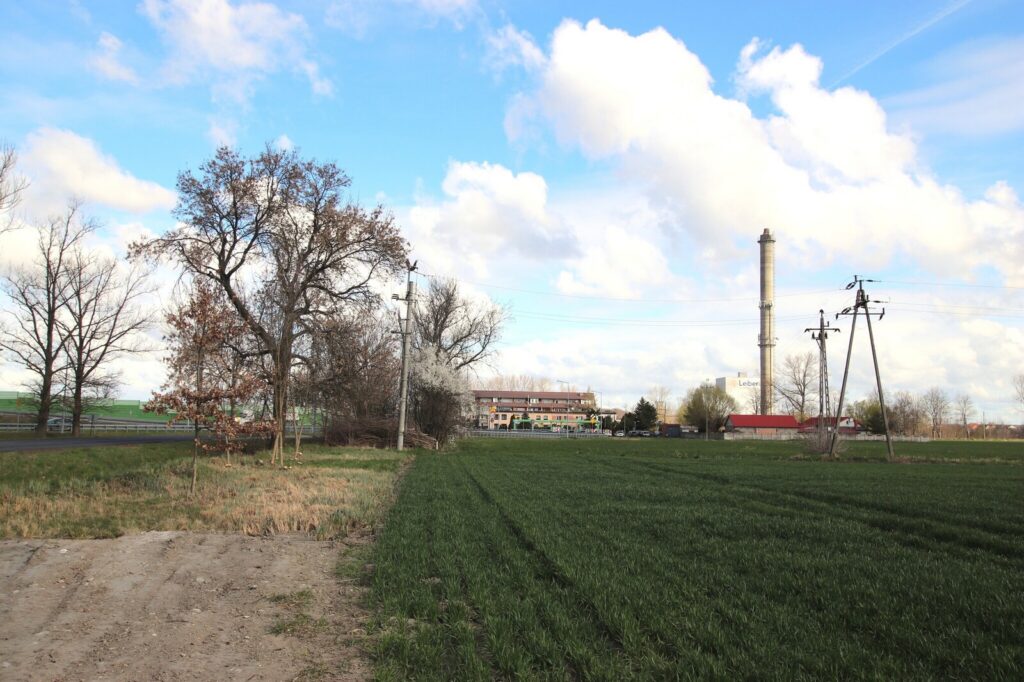 Działka inwestycyjna 7000 m² – usługi. - zdjęcie 7