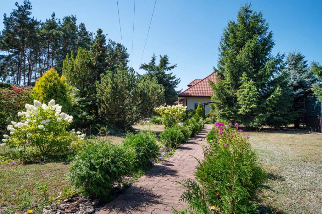 Energooszczędny dom marzeń w Gabryelinie - zdjęcie 32