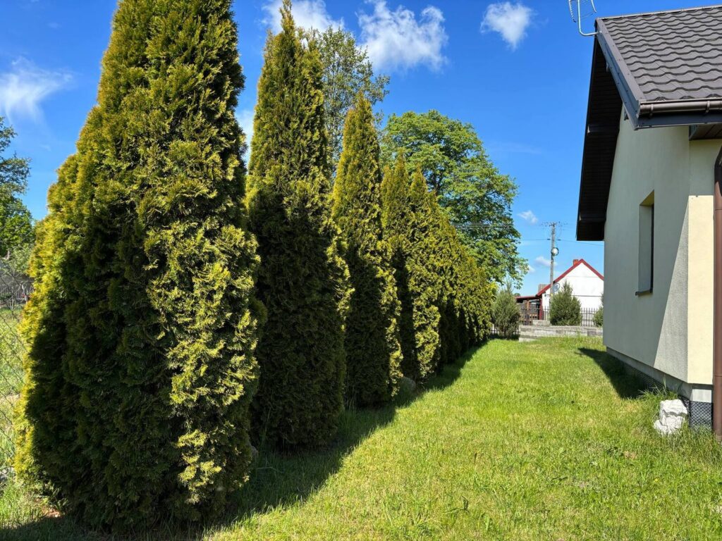 Nowy, parterowy dom + poddasze-na działce 1000 m2 - zdjęcie 20