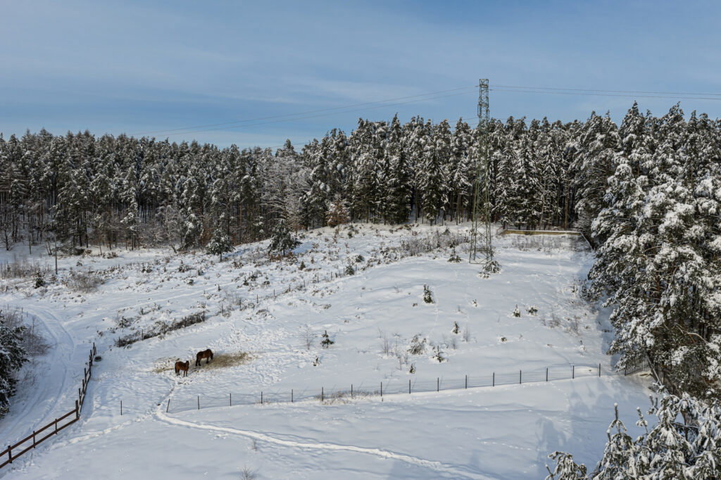 objęta MPZP | zabudowa jednorodzinna rezydencjalna - zdjęcie 5