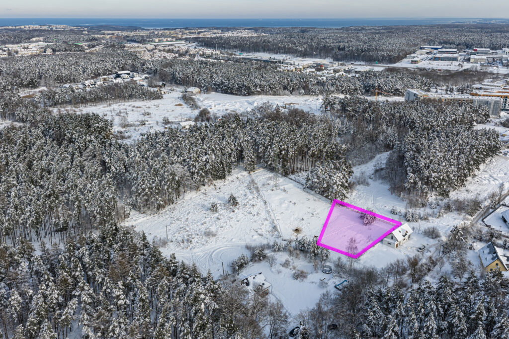 płaska | zabudowa jednorodzinna rezydencjalna - zdjęcie 2