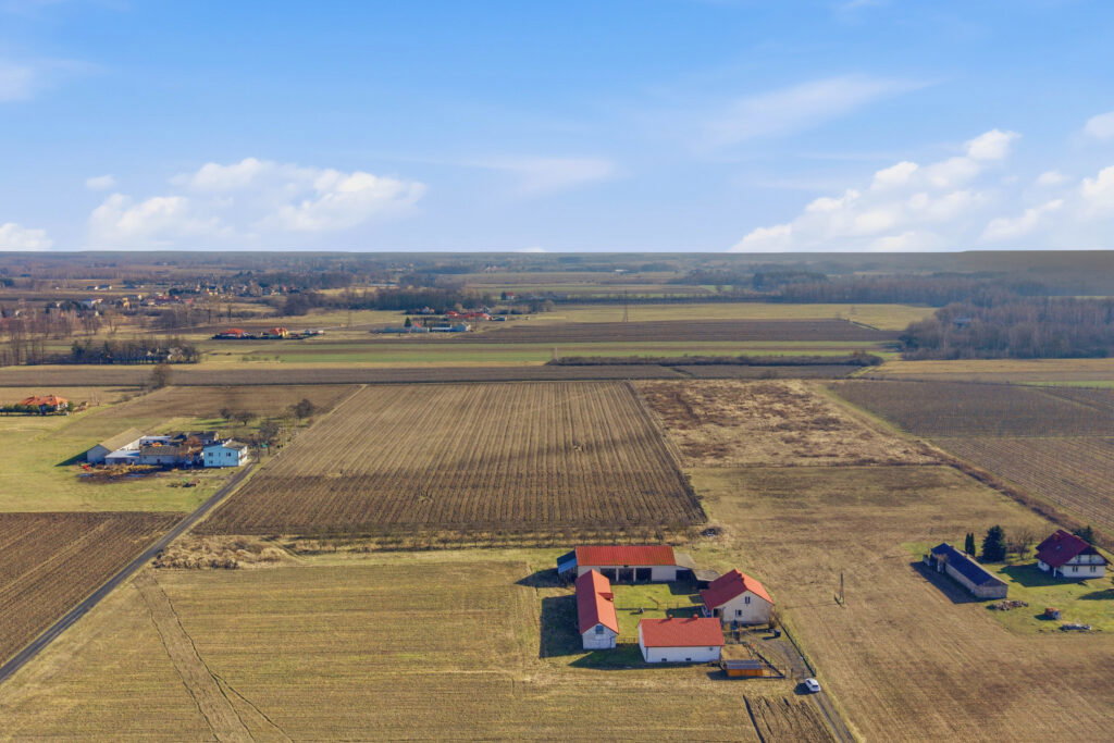 Działki budowlane – Prażmów, gm. Prażmów - zdjęcie 14