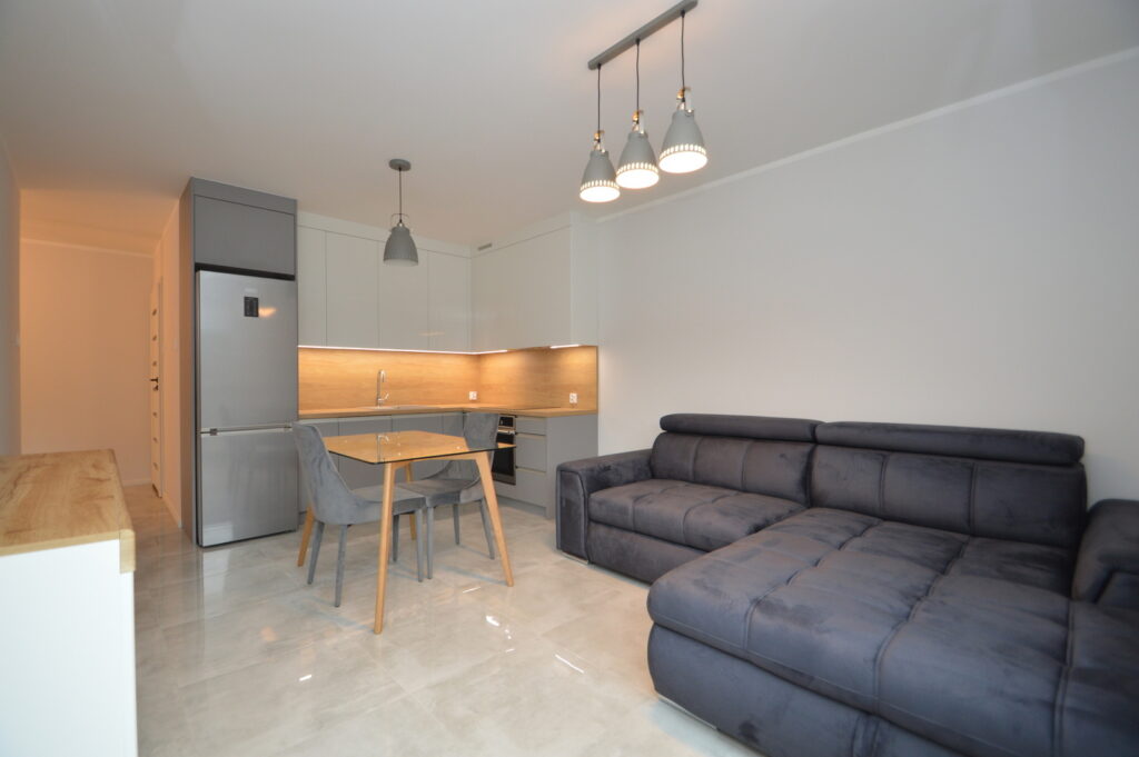 Nowe mieszkanie do wynajęcia - zdjęcie 2